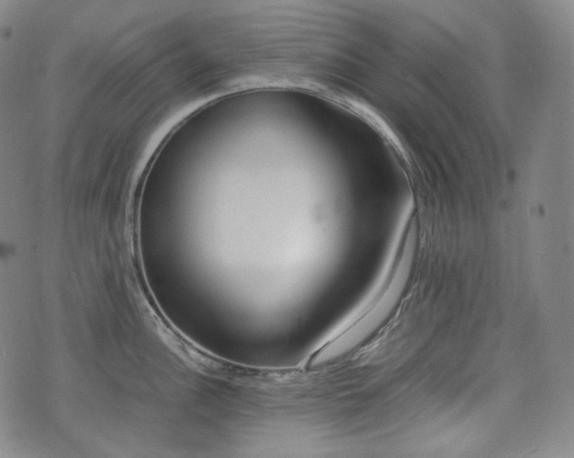 X0000071921148200607141329