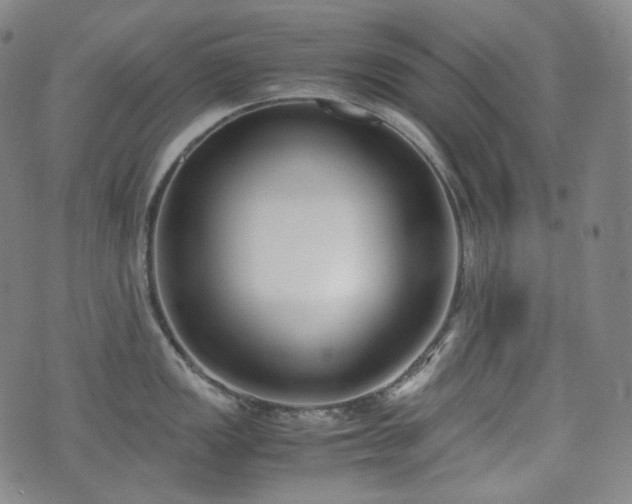 X0000071921149200607141329