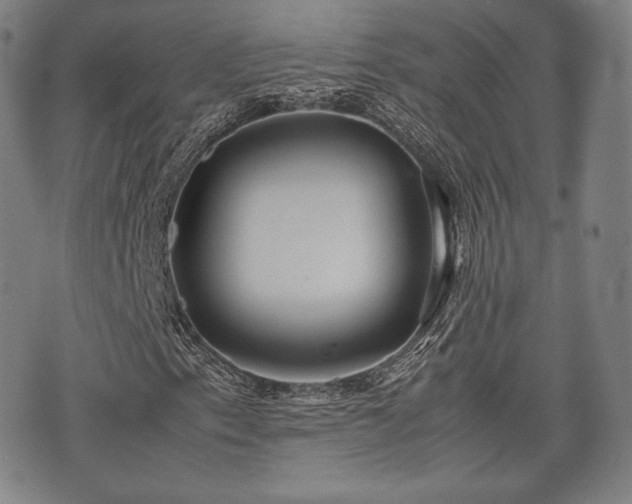X0000071921153200607141328