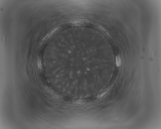 X0000071921155200607141328