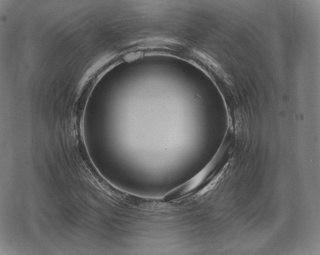 X0000071921164200607141328