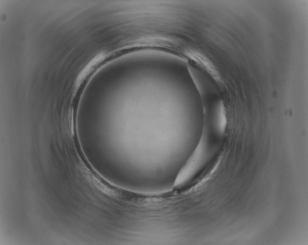 X0000071921180200607141327