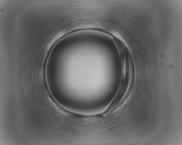 X0000071921181200607141327