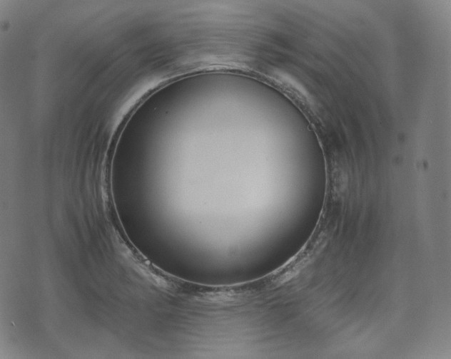 X0000071921182200607141327