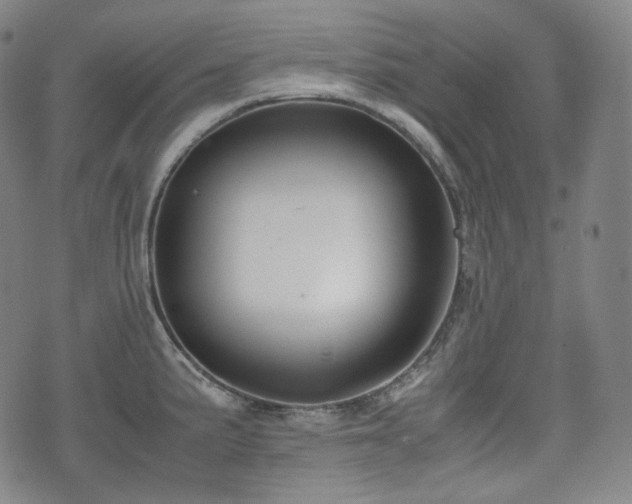X0000071921191200607141327