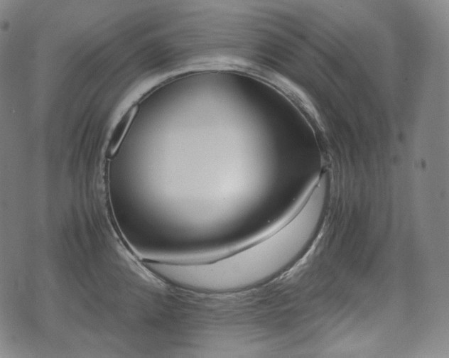 X0000071921192200607141327