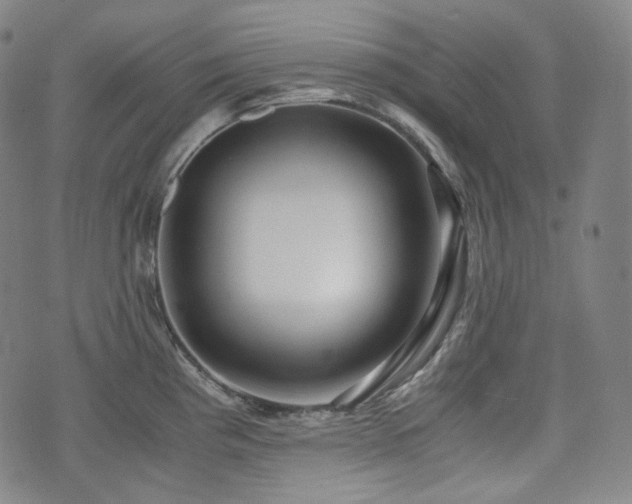 X0000071921193200607141327