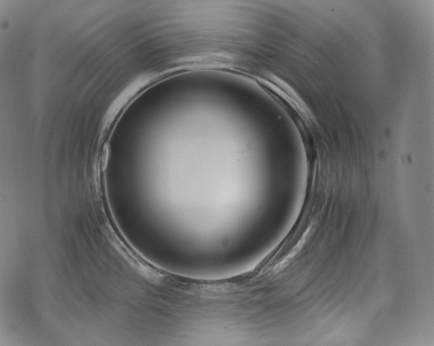 X0000071921196200607141327