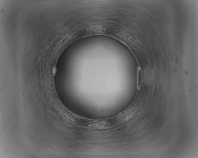 X0000071921201200607141326