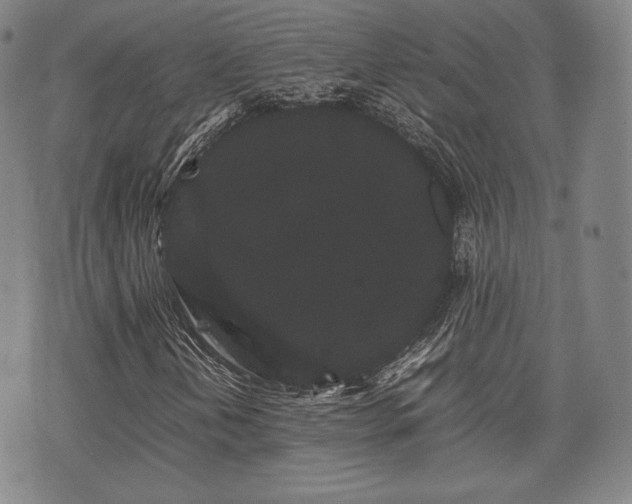 X0000071921202200607141326