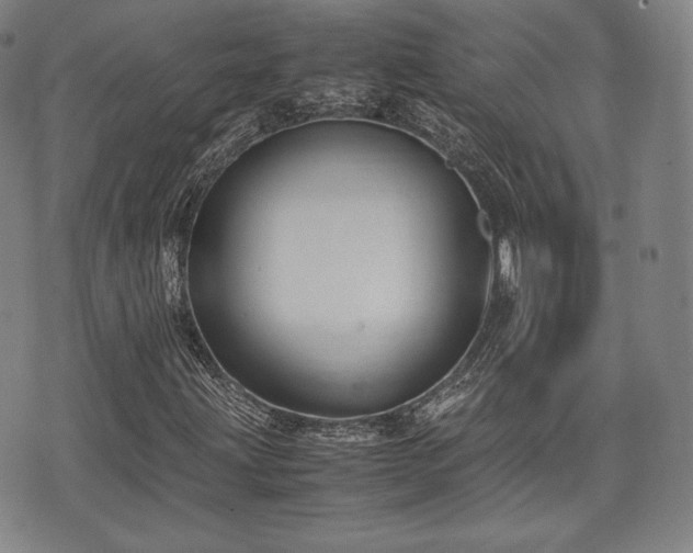 X0000071921203200607141326