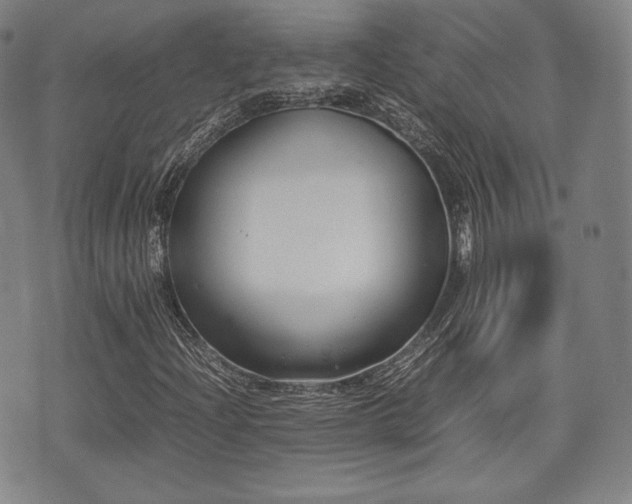 X0000071921204200607141326