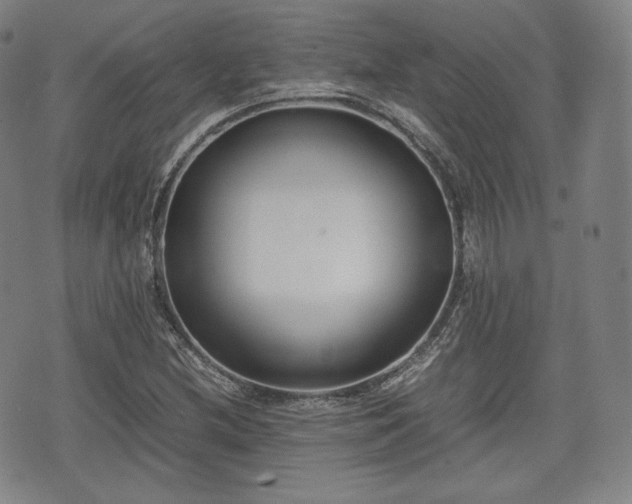 X0000071921212200607141327