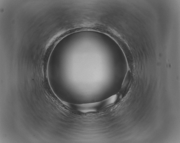 X0000071921214200607141327