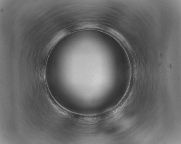X0000071921241200607141327