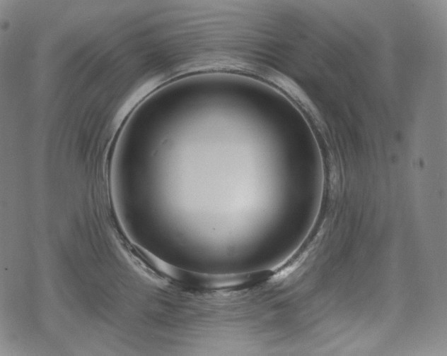 X0000071921242200607141327