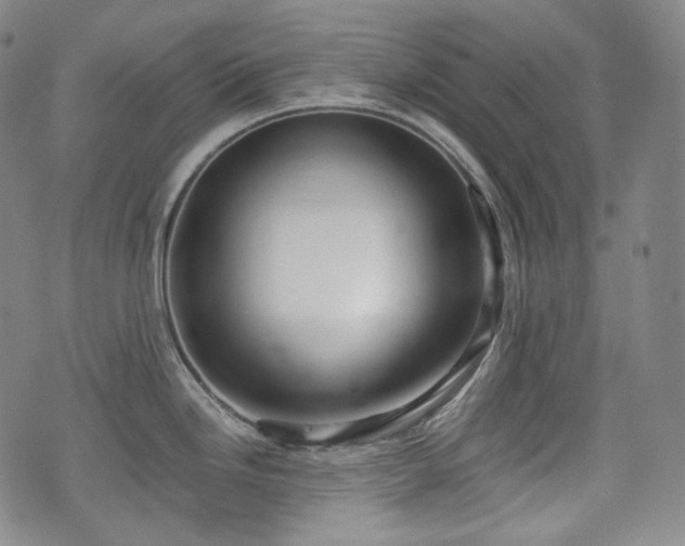 X0000071921246200607141327