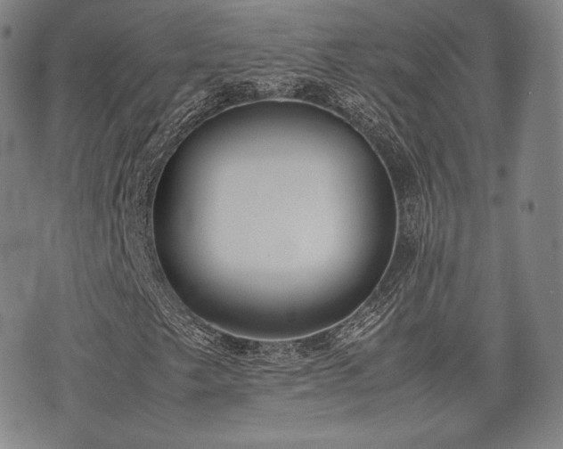 X0000071921249200607141326