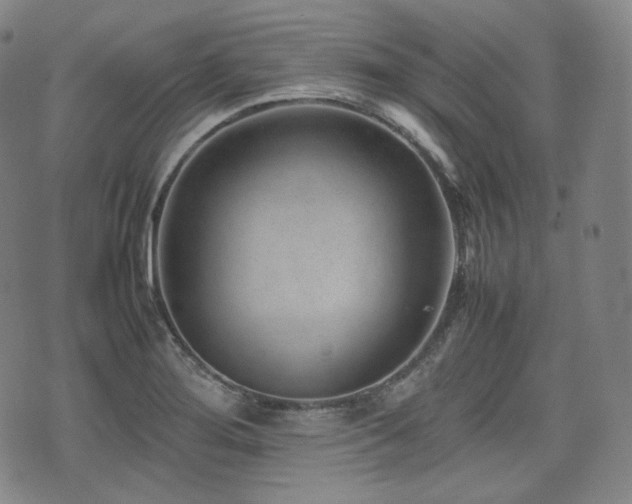 X0000071921276200607141326