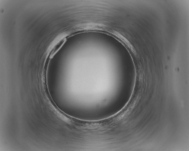 X0000071921285200607141326