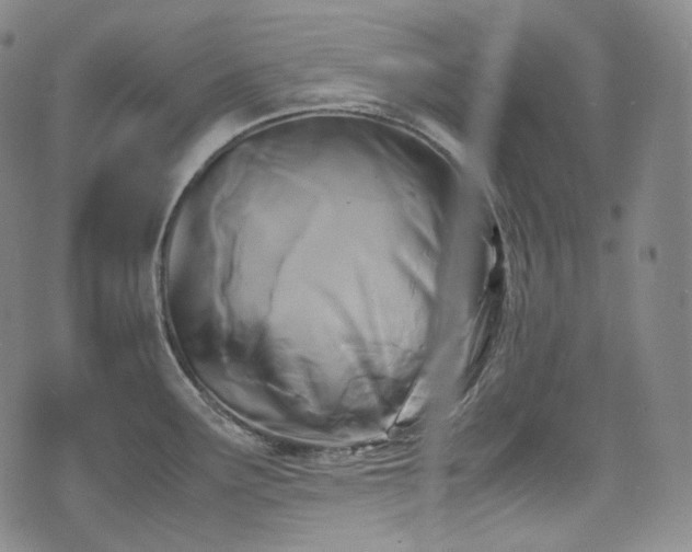 X0000071921291200607141326
