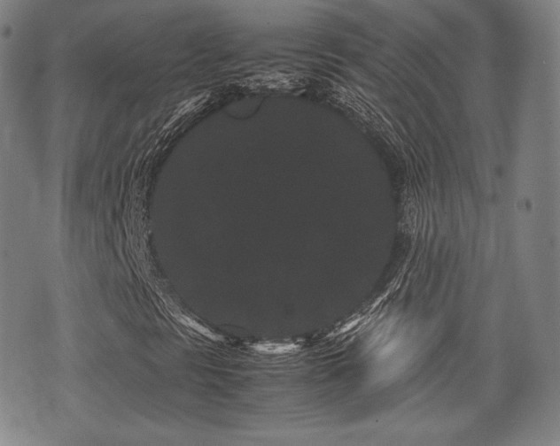 X0000071921297200607141325