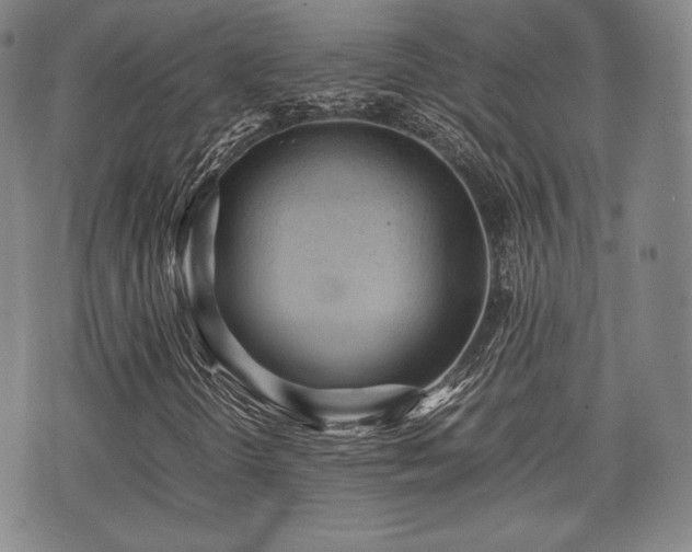 X0000071921298200607141325
