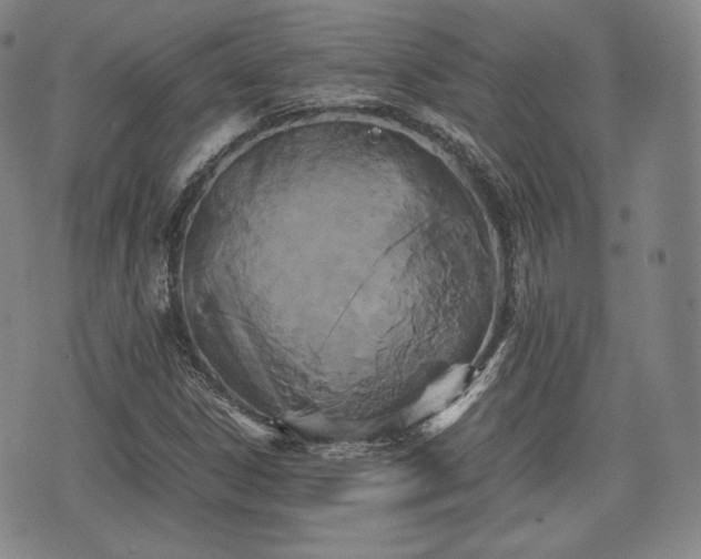 X0000071921306200607141325