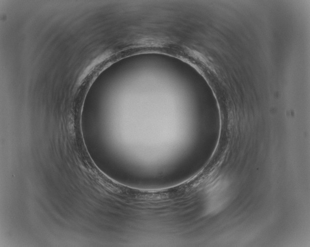 X0000071921307200607141325