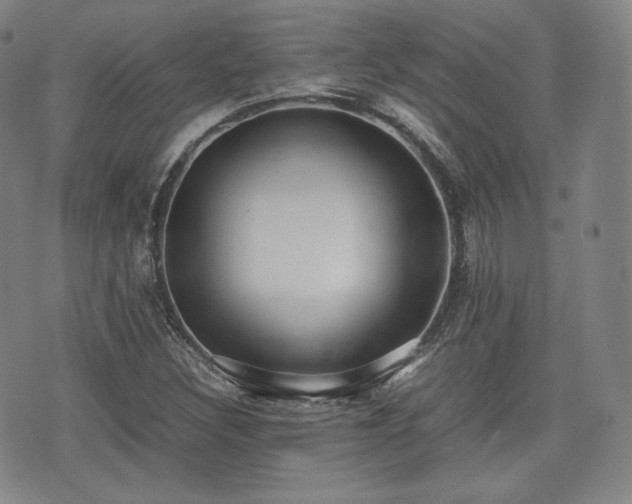 X0000071921308200607141325