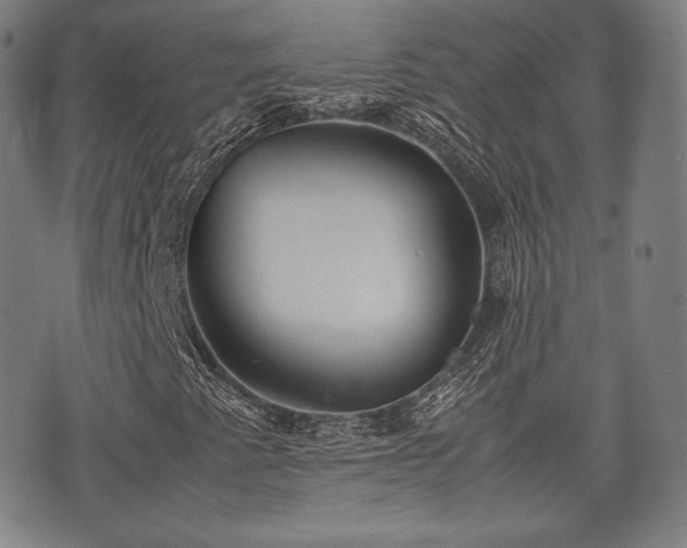 X0000071921345200607141325