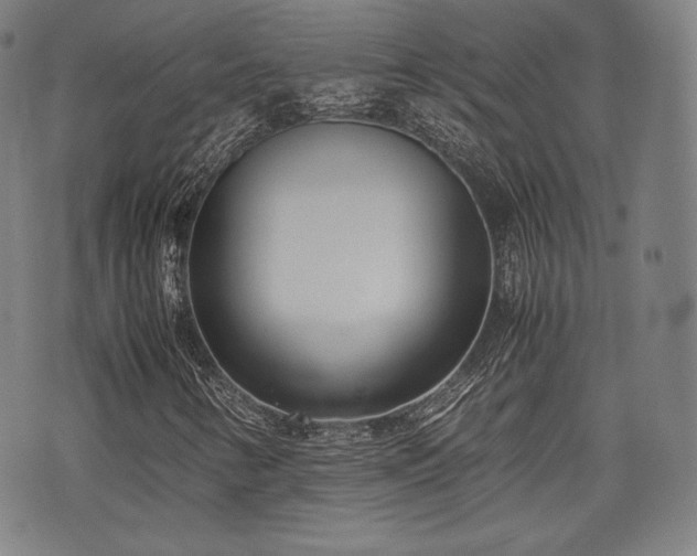 X0000071921346200607141325