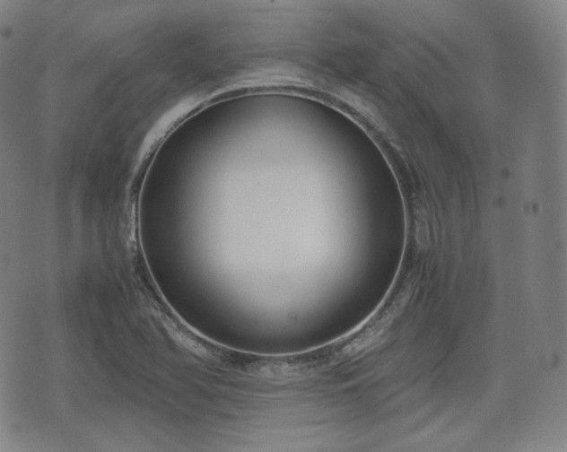 X0000071921366200607141325