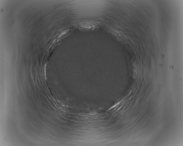 X0000071921394200607141323