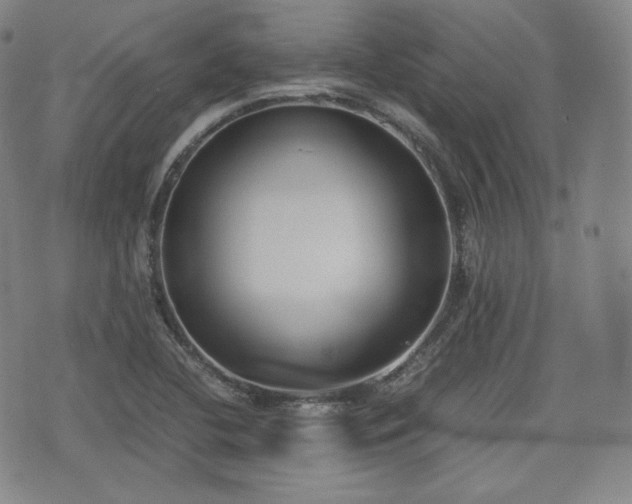 X0000071921412200607141324
