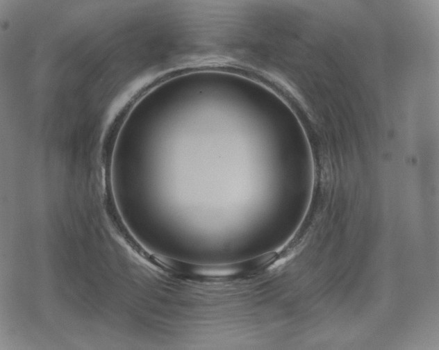 X0000071921414200607141324