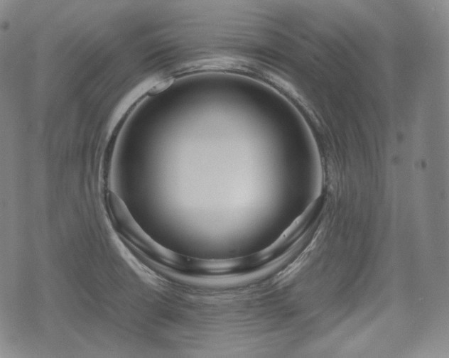 X0000071921426200607141324