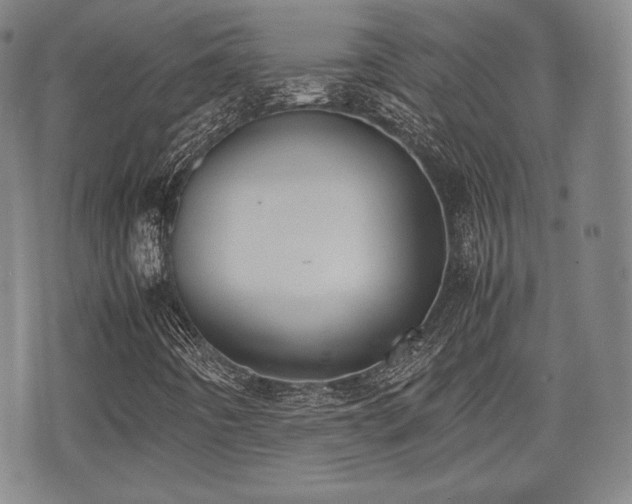 X0000071921442200607141323