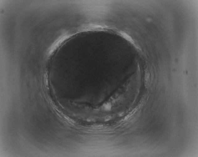 X0000071921455200607141323