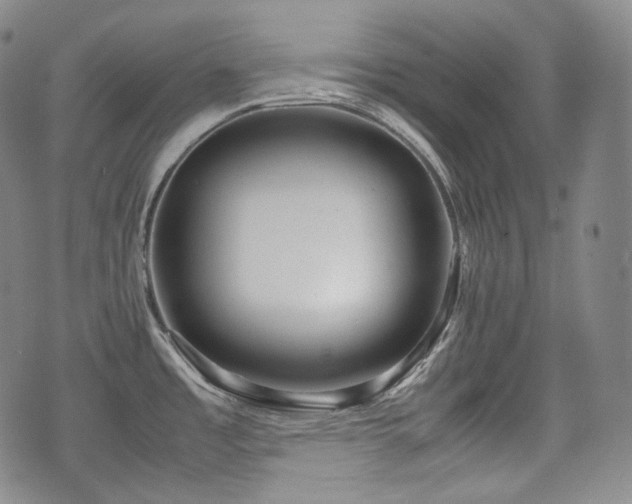 X0000071921485200607141323