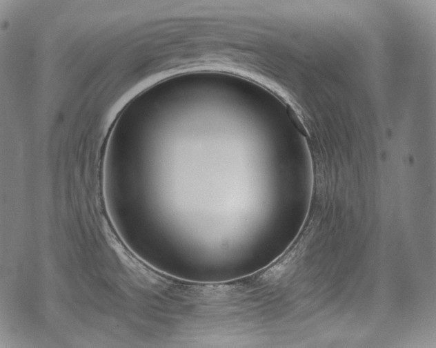 X0000071921534200607141322