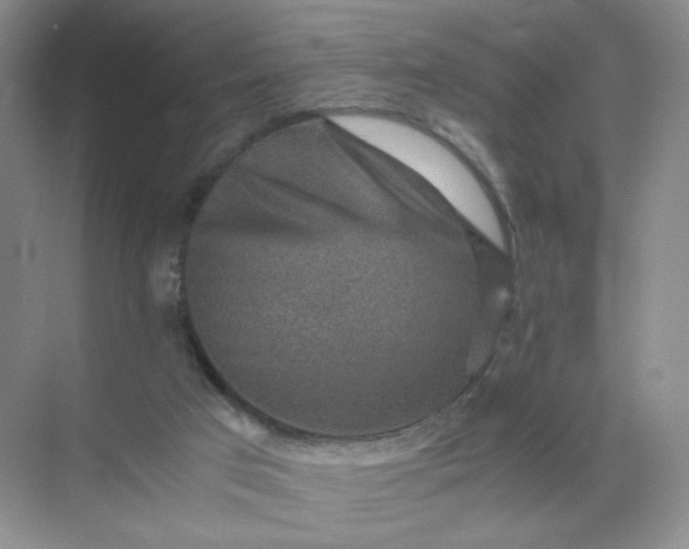 X0000071920017200607212120