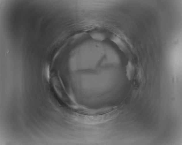 X0000071920027200607212120