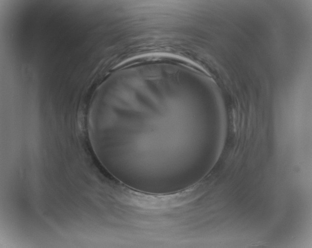 X0000071920035200607212119