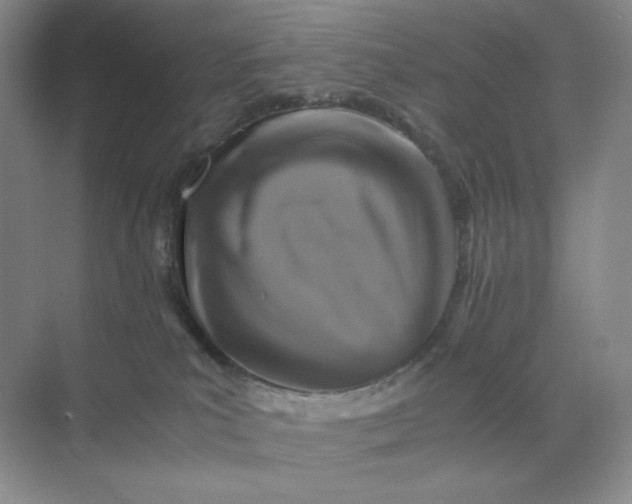 X0000071920039200607212119