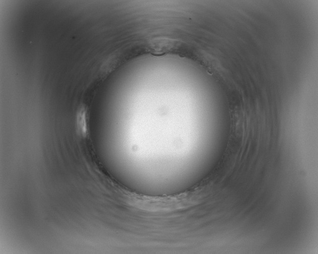 X0000071920042200607212119