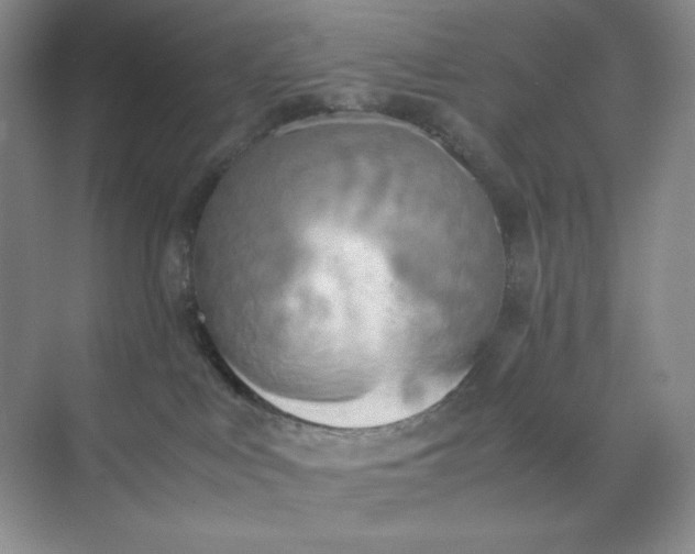 X0000071920043200607212119