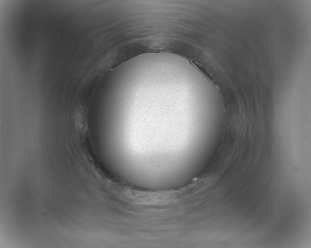 X0000071920044200607212119