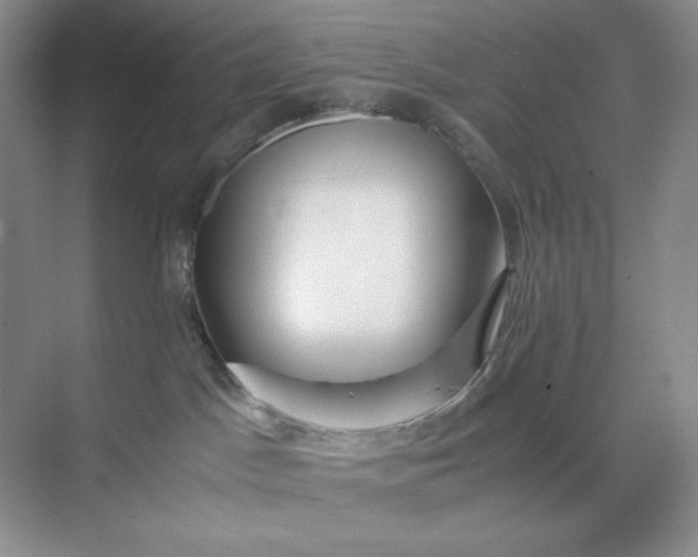 X0000071920045200607212119