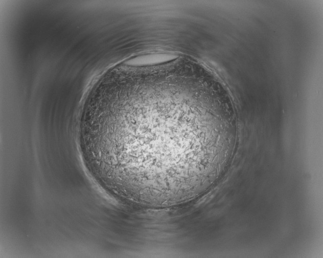 X0000071920049200607212118